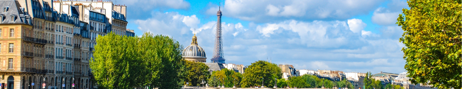 Visit Frenchbee