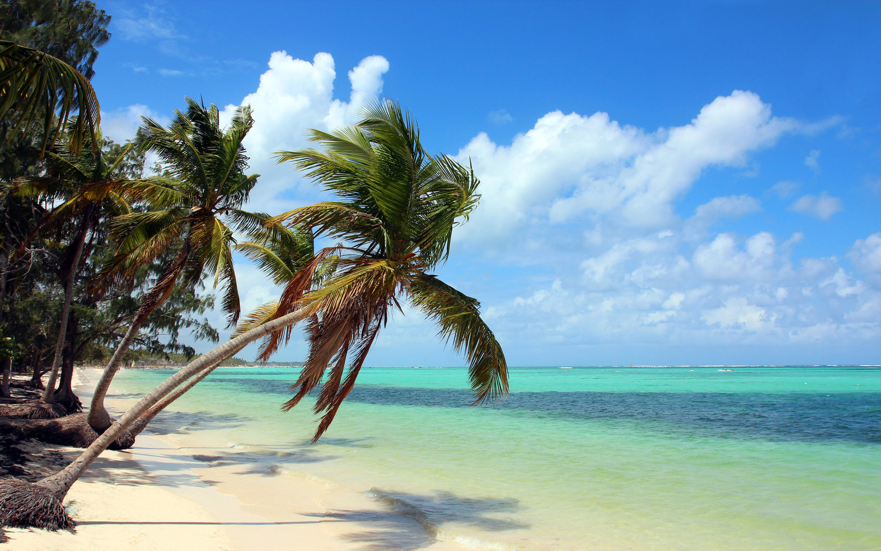 Punta Cana