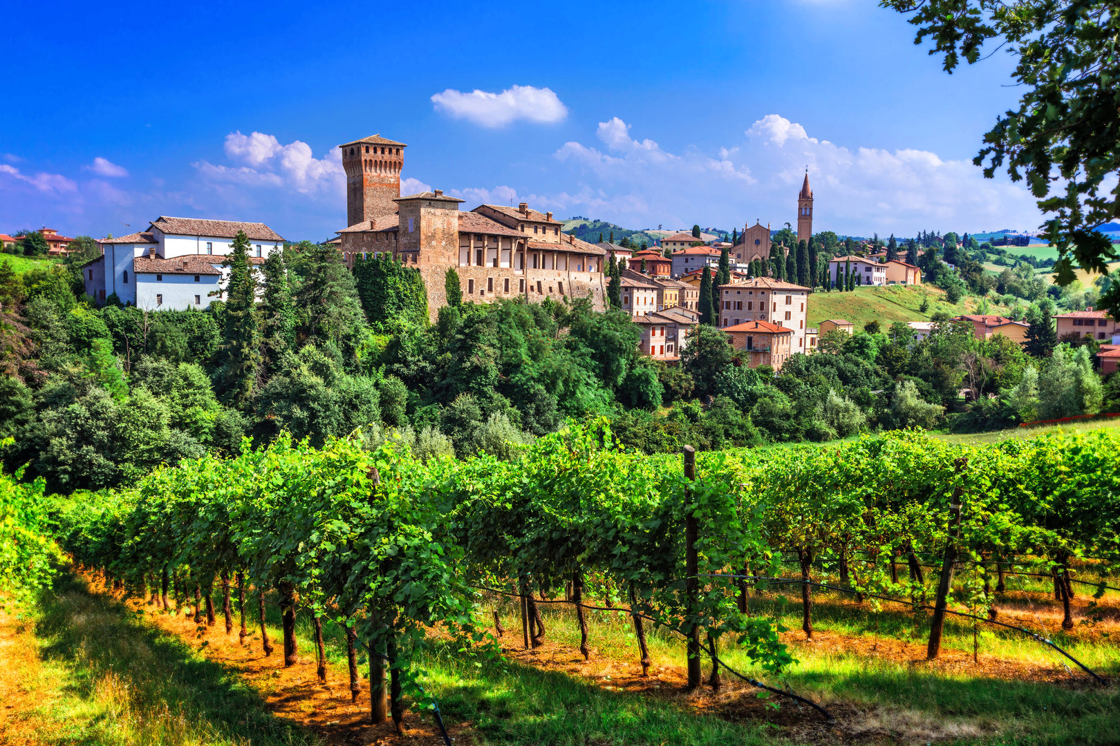 Bologna