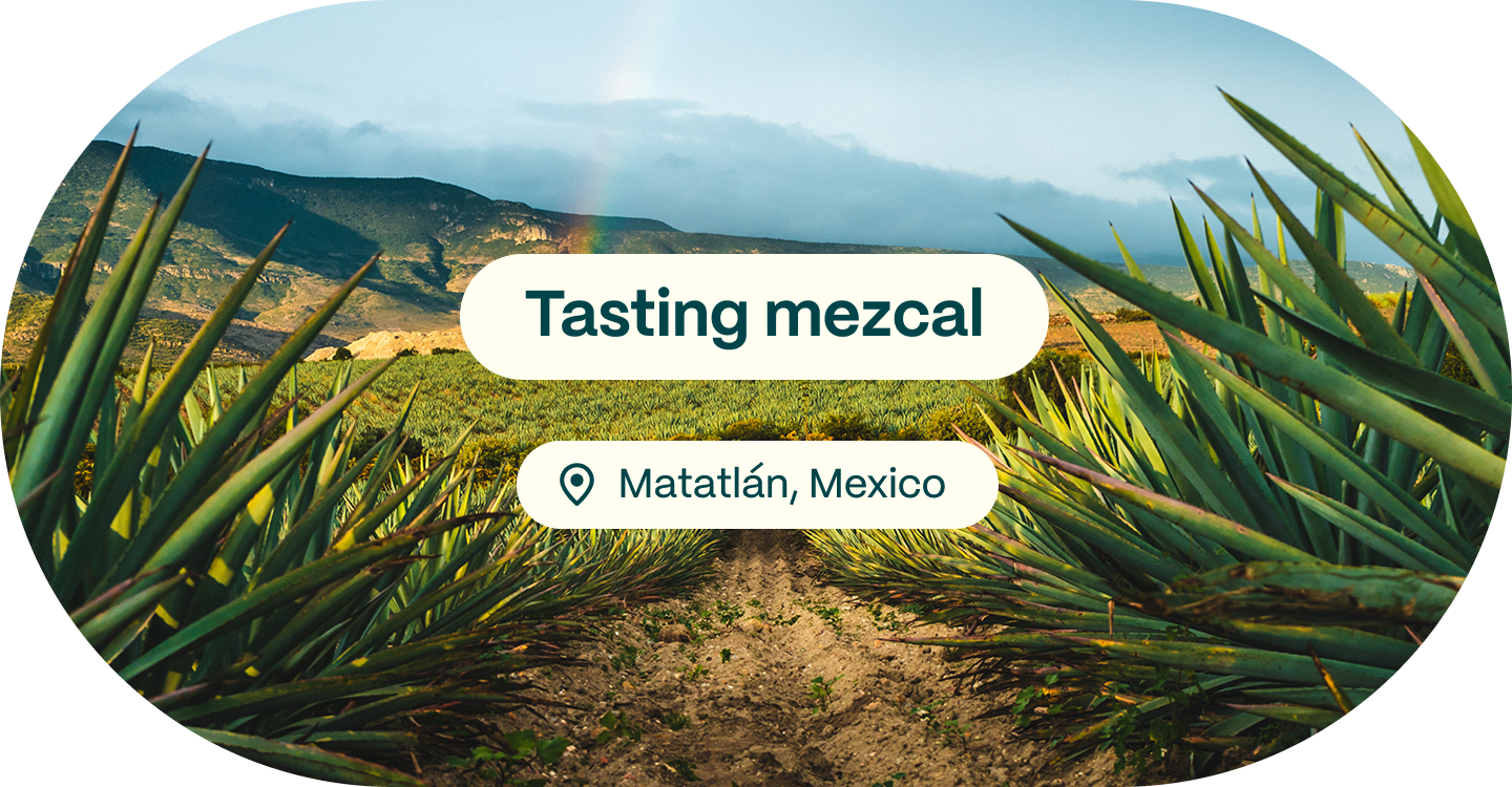 Tasting mezcal; Matatlán, Mexico